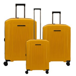 Richmont PP Luggage Set