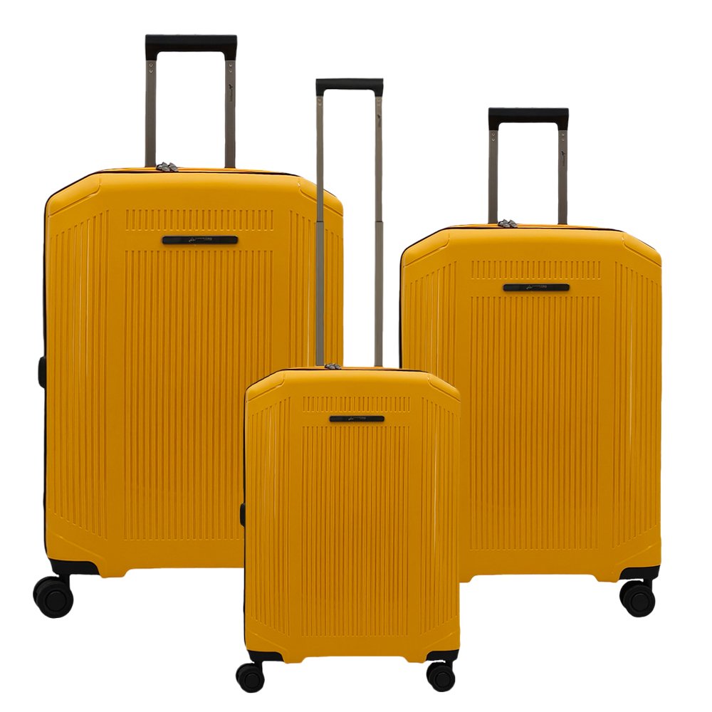 Richmont PP Luggage Set