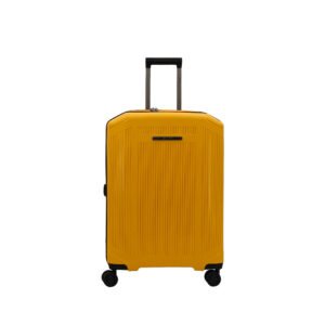 Richmont PP Check – In Luggage | 24″