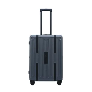 Kingsmont PC Check – In Luggage | 24″